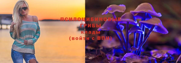 герыч Арсеньев